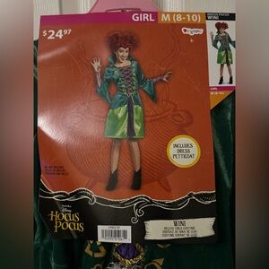 Disney Hocus Pocus Wini Child Costume - Green and Purple